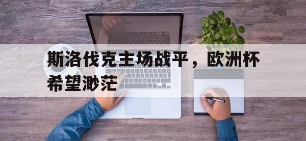 斯洛伐克主场战平，欧洲杯希望渺茫的简单介绍
