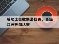 威尔士击败斯洛伐克，晋级欧洲杯淘汰赛