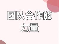 关于兄弟团队：球队合作精神成比赛制胜法宝的信息