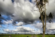 费德勒新星逆转表现惊艳，澳大利亚队未来可期！